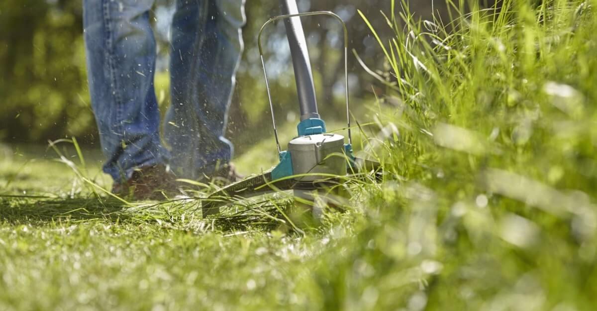 How to get rid of weeds without killing grass