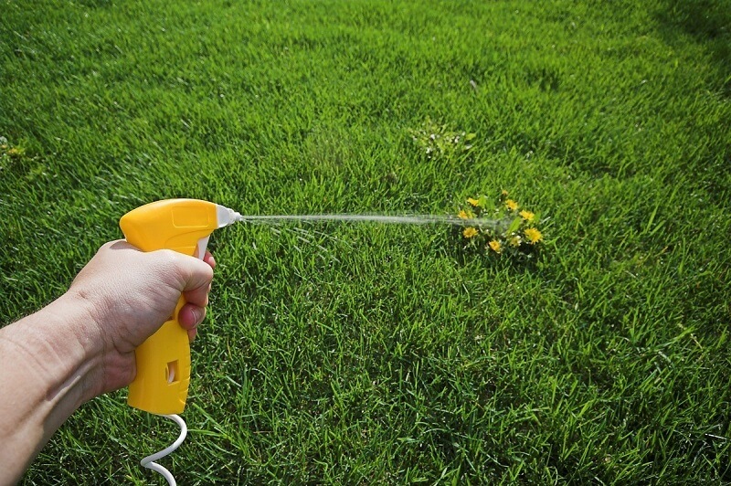 Spraying herbicides